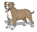 PetMatey - Dog Care