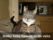 Click to View