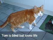 Click to View