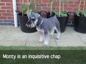 Click to View